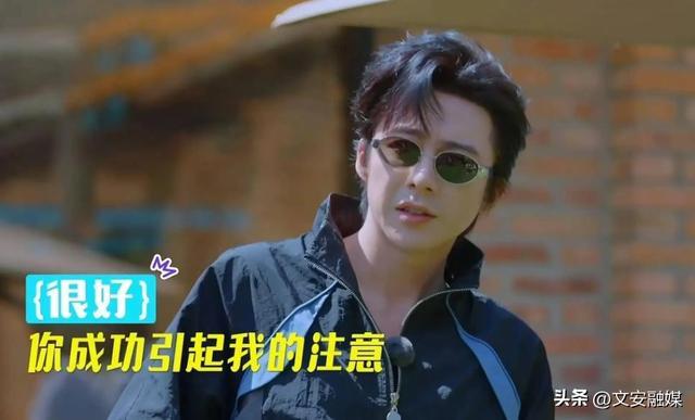 _翻身的明星_杨幂翻拍的小说