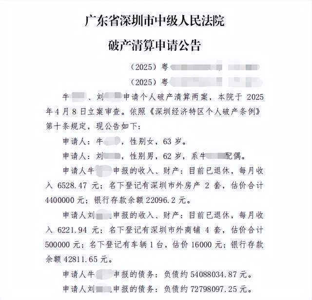 月入1.2万负债1.2亿，深圳一对退休夫妻申请破产，法院：立案审查