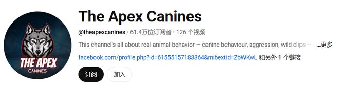 被老外带去美国的土狗_为国王们烹饪_