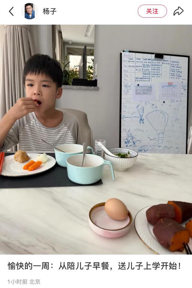 杨子说安迪有自己的游乐场__安迪是杨子亲生的吗