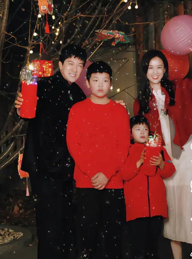 安迪是杨子亲生的吗_杨子说安迪有自己的游乐场_