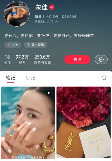 _叛逆期的孩子到底有多叛逆_叛逆最后结局