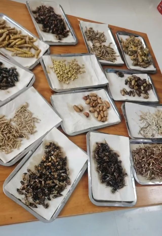 饭馆发布“蛤蟆汤”视频拟被罚45万？官方通报__饭馆发布“蛤蟆汤”视频拟被罚45万？官方通报