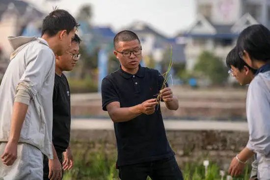 _镜观·回响丨春风育人，硕果盈枝_镜观·回响丨春风育人，硕果盈枝