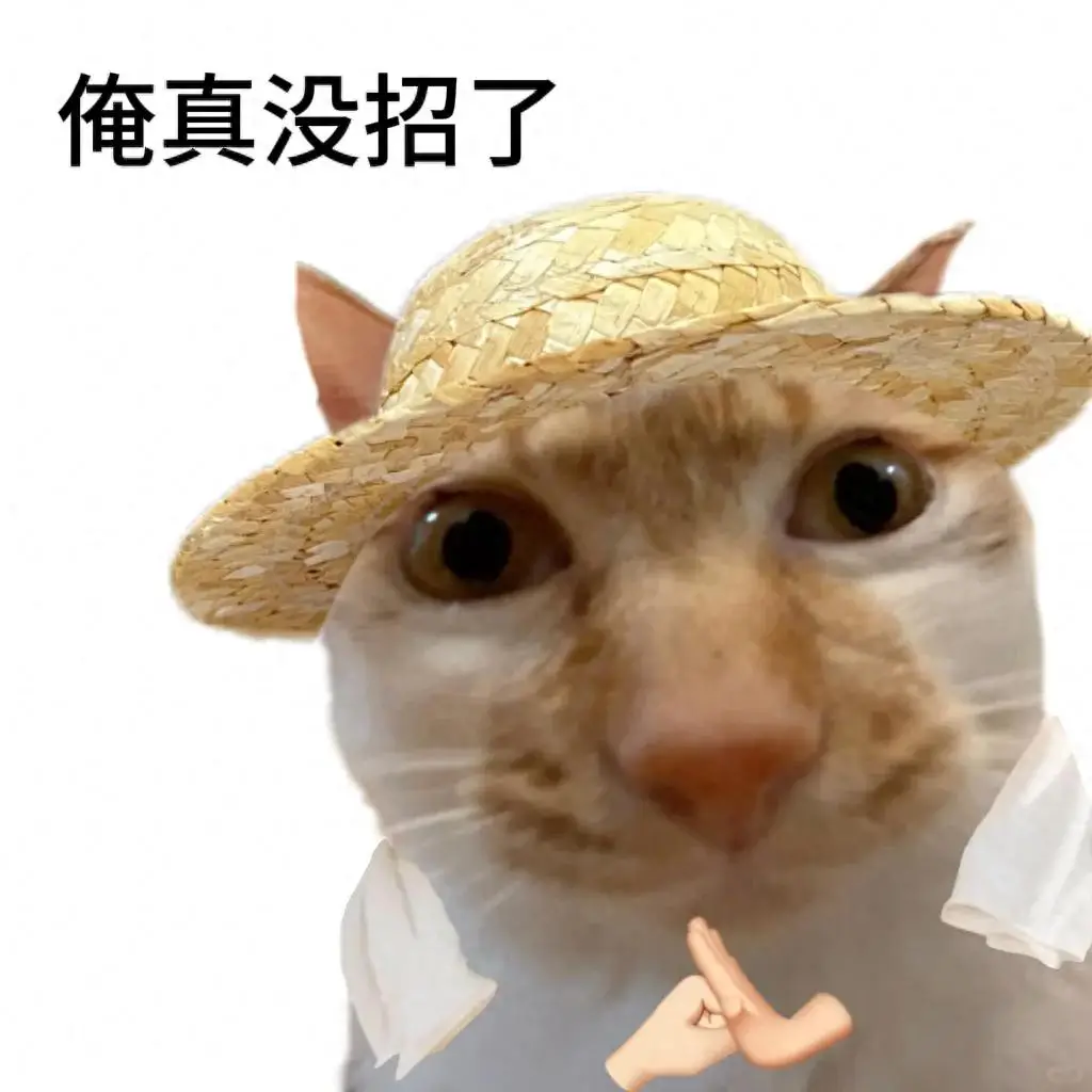 考公考编拼命学习1个月，真的能考上吗！？