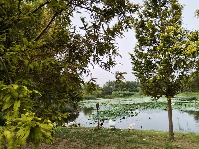 永远不要太操心孩子，关注越多包办越全，孩子越容易内耗摆烂躺平
