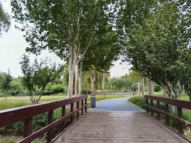 _永远不要太操心孩子，关注越多包办越全，孩子越容易内耗摆烂躺平_永远不要太操心孩子，关注越多包办越全，孩子越容易内耗摆烂躺平