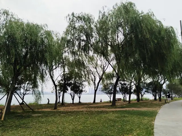 永远不要太操心孩子，关注越多包办越全，孩子越容易内耗摆烂躺平_永远不要太操心孩子，关注越多包办越全，孩子越容易内耗摆烂躺平_