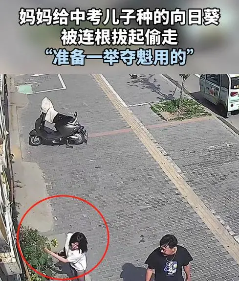 _请父母们停止“作妖”，高考在即，让孩子们安安静静的考试吧_请父母们停止“作妖”，高考在即，让孩子们安安静静的考试吧