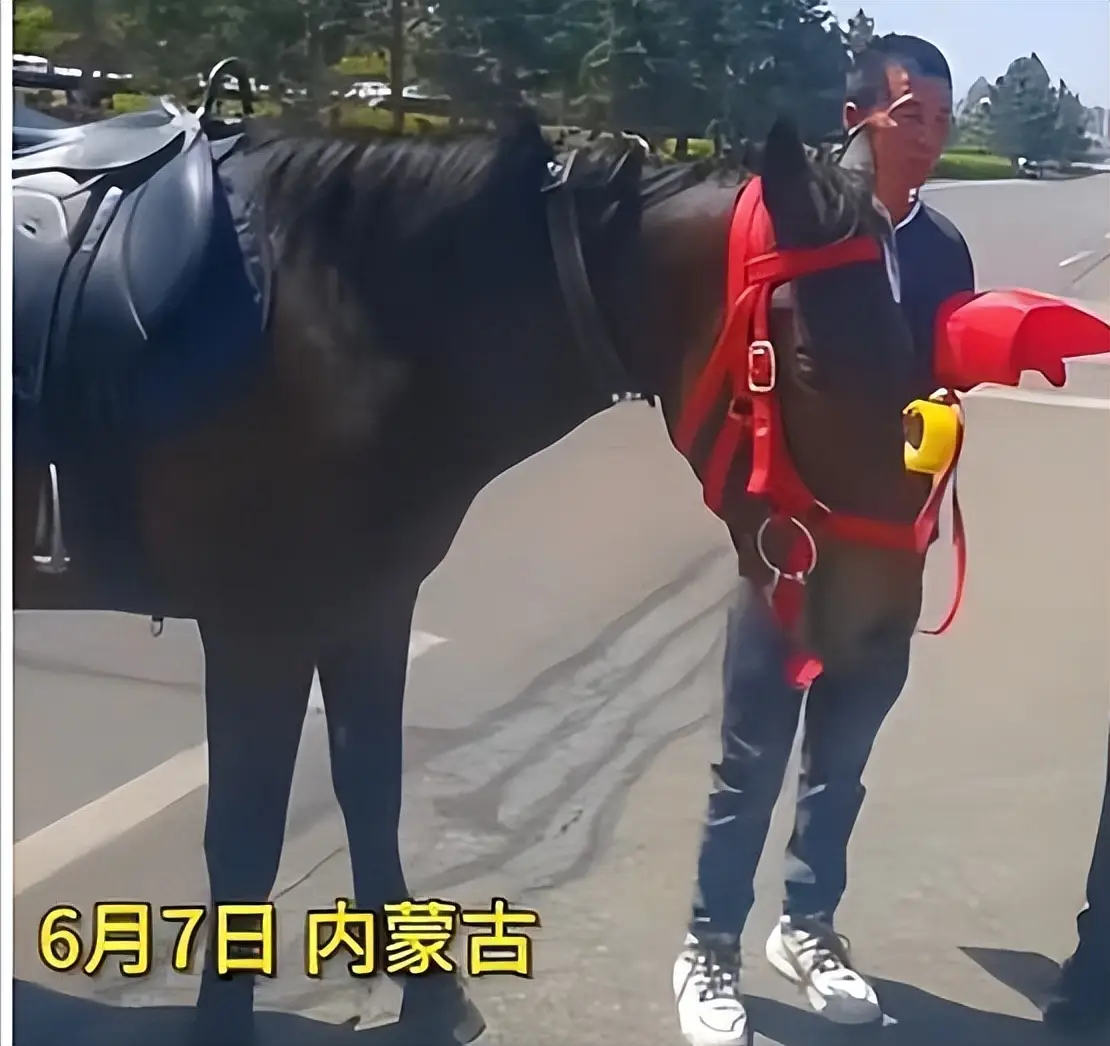 请父母们停止“作妖”，高考在即，让孩子们安安静静的考试吧_请父母们停止“作妖”，高考在即，让孩子们安安静静的考试吧_