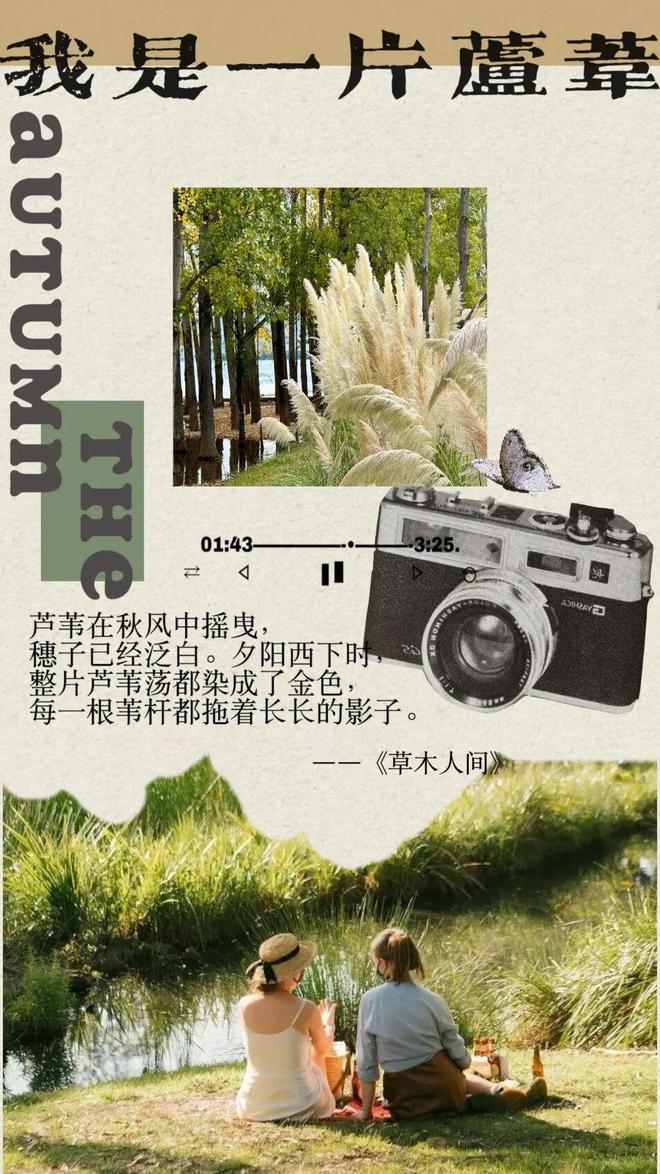 星光水晶藏惊喜__大理经藏之都