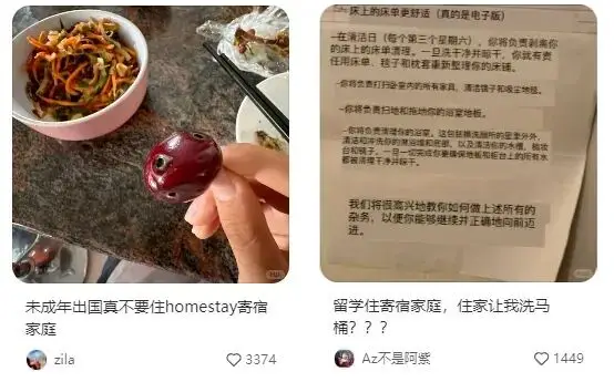 _8天的游学之旅，一死亡一被捕，中产家庭的富养错了吗？_8天的游学之旅，一死亡一被捕，中产家庭的富养错了吗？
