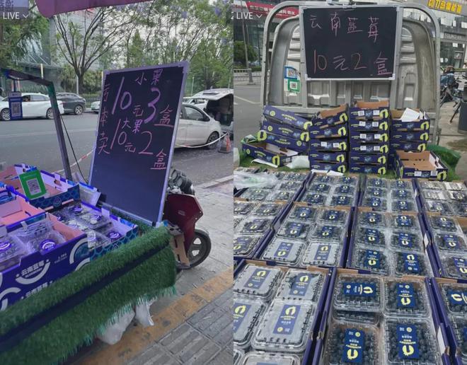 收割无数人的贵族水果，集体塌房了