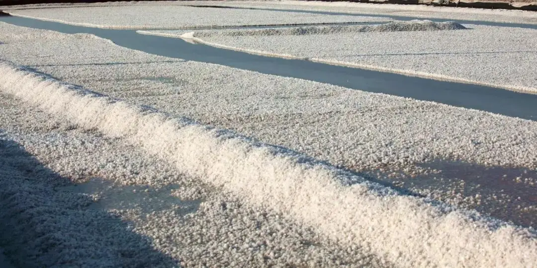 盐沼高考地理题__高考地理盐湖专题