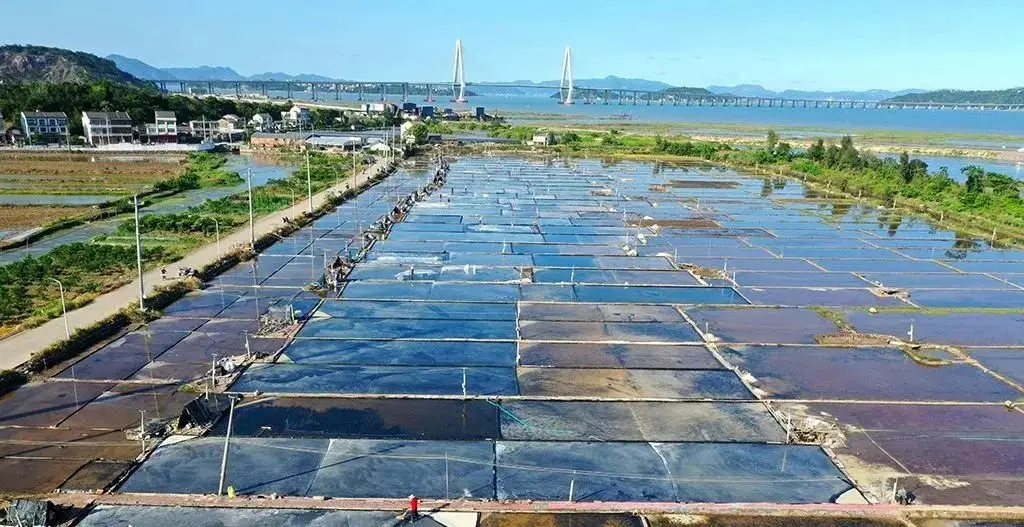 盐沼高考地理题_高考地理盐湖专题_