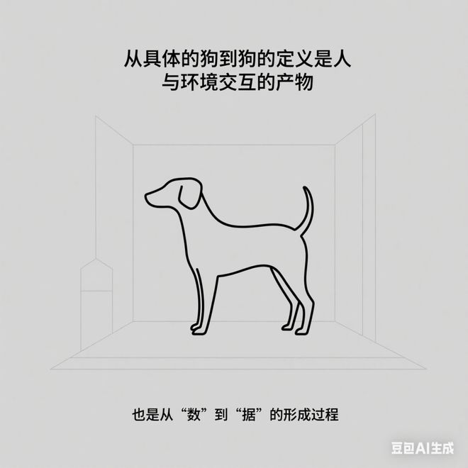 数概念形成的四个阶段_数概念形成阶段_