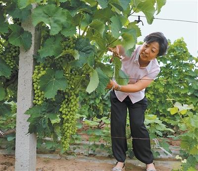 为老百姓办更多实事（党旗在基层一线高高飘扬）