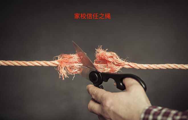 小学生被拍“裸照”、遭同学“殴打”？学校通报，教育生态亮红灯__小学生被拍“裸照”、遭同学“殴打”？学校通报，教育生态亮红灯