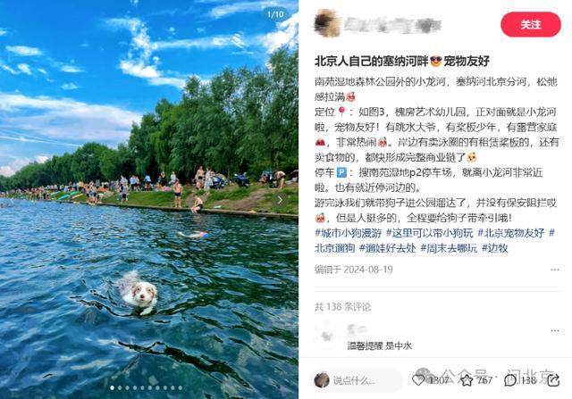 假水是啥东西_假水测评视频_