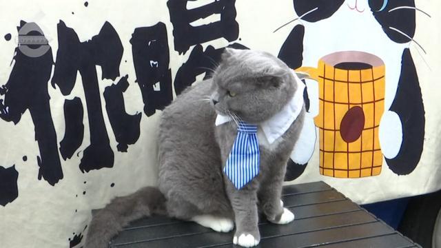 昆明%咖啡什么时候开业__昆明网红咖啡厅