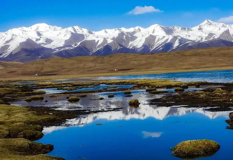 地理技巧高考__高考地理高分秘诀