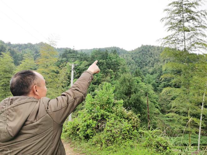 影子调查丨三名“淘金客”殒命雪峰山：千余废弃金矿洞的监管难题