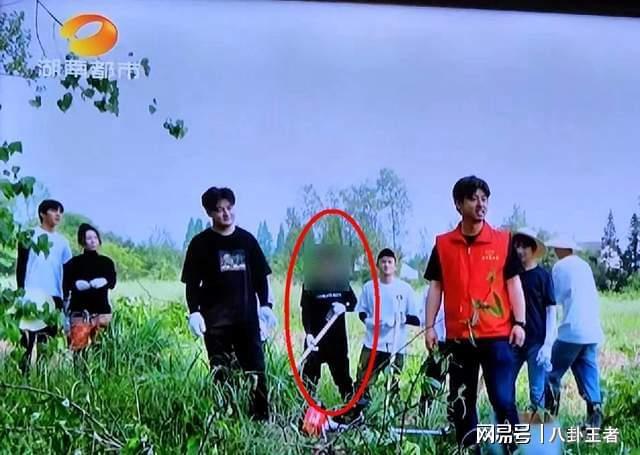 李维嘉被除名！《向往》重播被打码，曾消失1年，疑因开代孕公司
