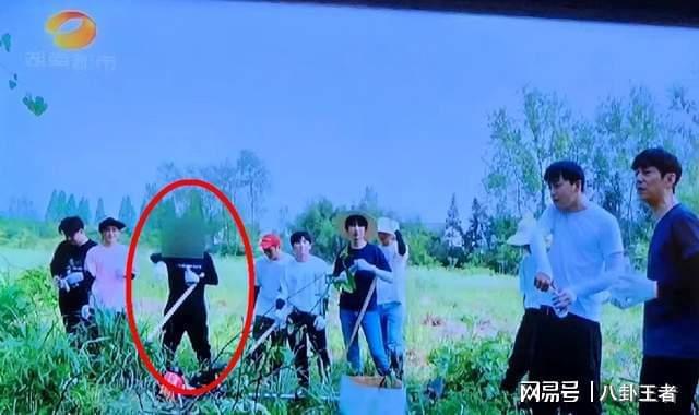 _李维嘉被除名！《向往》重播被打码，曾消失1年，疑因开代孕公司_李维嘉被除名！《向往》重播被打码，曾消失1年，疑因开代孕公司