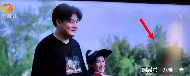 李维嘉被除名！《向往》重播被打码，曾消失1年，疑因开代孕公司__李维嘉被除名！《向往》重播被打码，曾消失1年，疑因开代孕公司