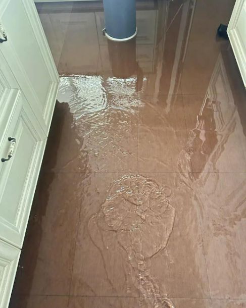 张馨予家里水管爆淹成水帘洞，拖鞋玩水晒自拍，网友却只关注脚_张馨予家里水管爆淹成水帘洞，拖鞋玩水晒自拍，网友却只关注脚_