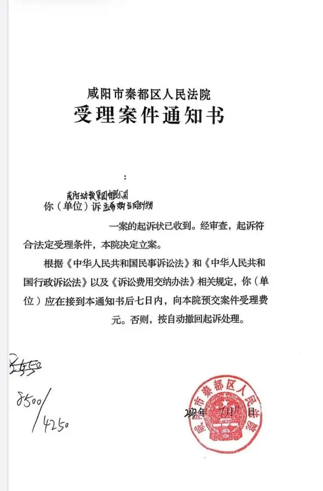 一审缓刑不上诉同案实刑上诉_一审终审的案件不能上诉_