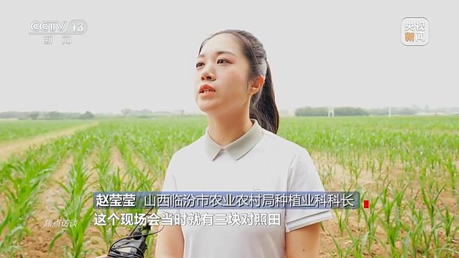 焦点访谈丨“一喷三防”、水肥一体化滴灌 我国夏粮产区抗旱有妙招