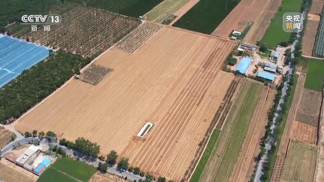 焦点访谈丨“一喷三防”、水肥一体化滴灌 我国夏粮产区抗旱有妙招