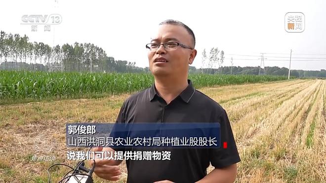 焦点访谈丨“一喷三防”、水肥一体化滴灌 我国夏粮产区抗旱有妙招
