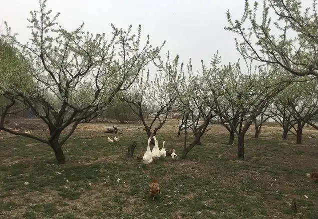 _家长翻孩子手机犯法吗_躺着呢英语怎么说