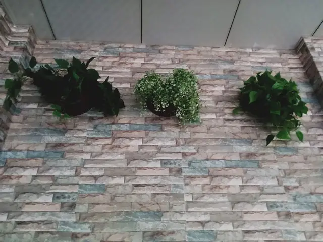 _清华冷门专业怎么找工作_清华毕业做什么工作好