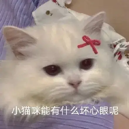 夏令营点亮青少年科技梦想_如何确定自己梦想的书_