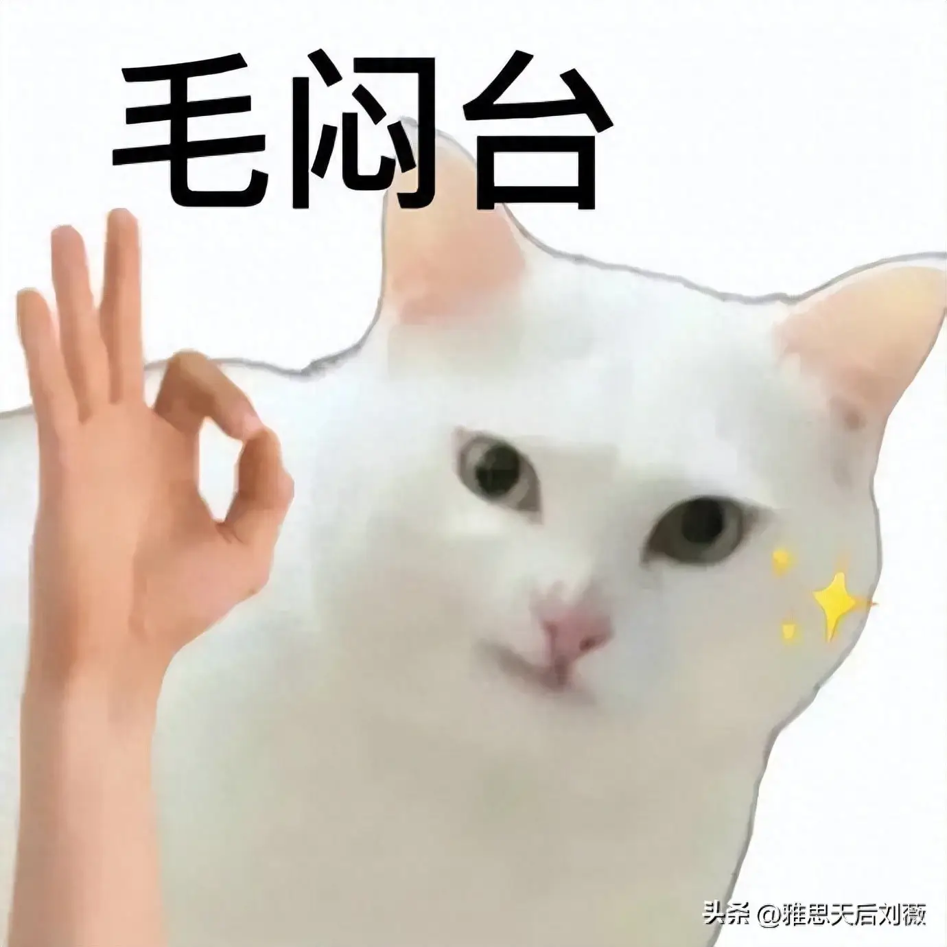 当我拿着雅思7.5的成绩单去面试工作，结果
