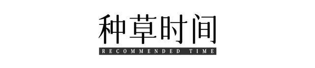 显腿长的凉鞋_巨腿女孩现在怎么样了_