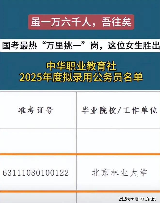 公考上岸经验_学考录取是坑吗_