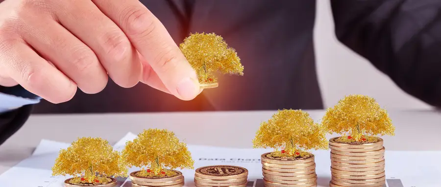 财经院校怎么选？这三所各具特色的院校不容错过！