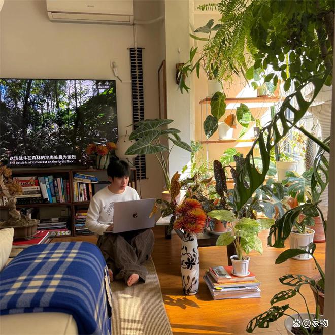 深圳一男子，40㎡小家里尽是花草绿植，堪称把家变成了“植物园”