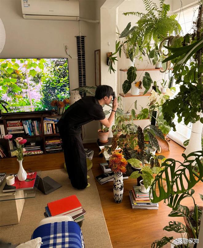 _家居花草_家里的花草茂盛象征什么