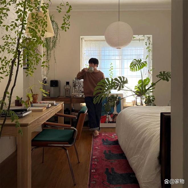_家里的花草茂盛象征什么_家居花草
