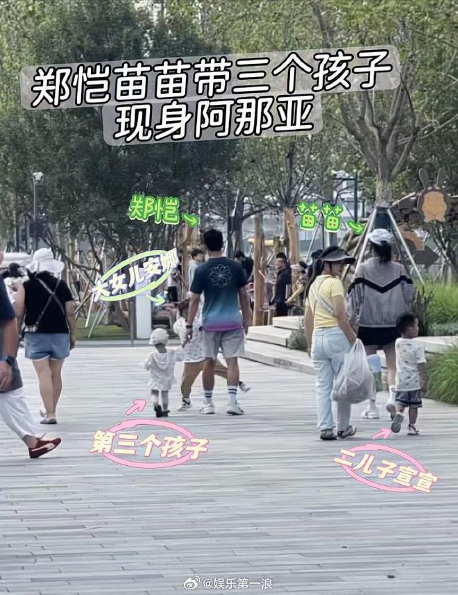 苗苗郑恺默契回答__苗苗郑恺一起参加的节目