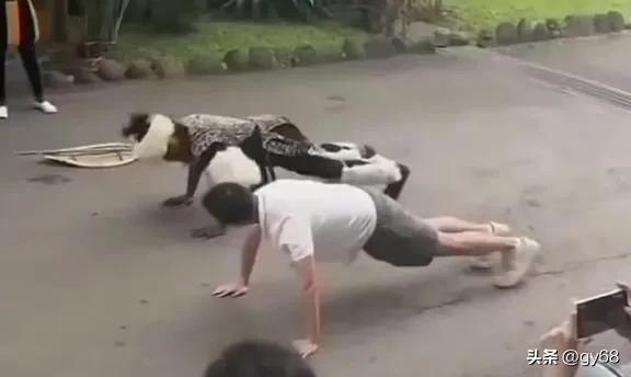 汪小菲全家出游乐开花，箖箖戒游戏玥儿显淡定！__汪小菲全家出游乐开花，箖箖戒游戏玥儿显淡定！