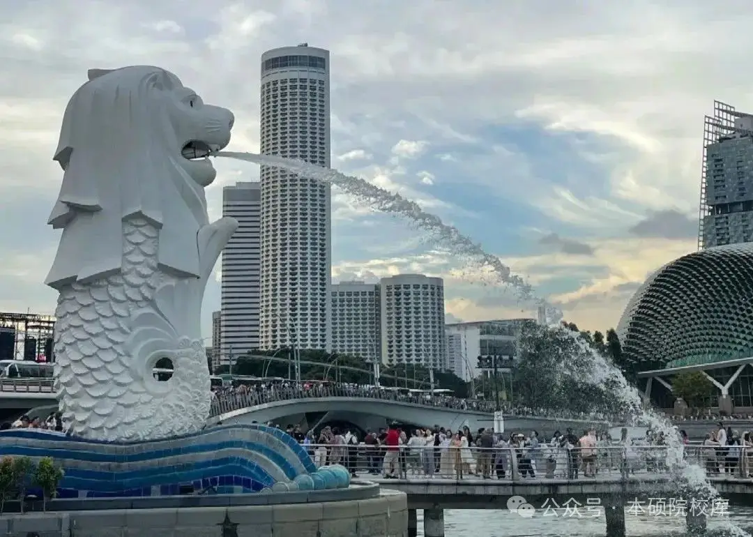 普通人的新加坡留学路：一场关于成长的修行