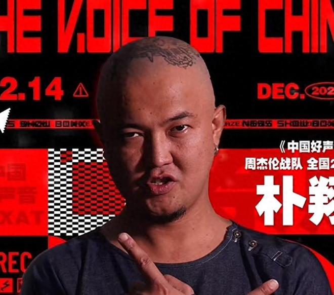 _突然逝世的明星_中国好声音明星客串