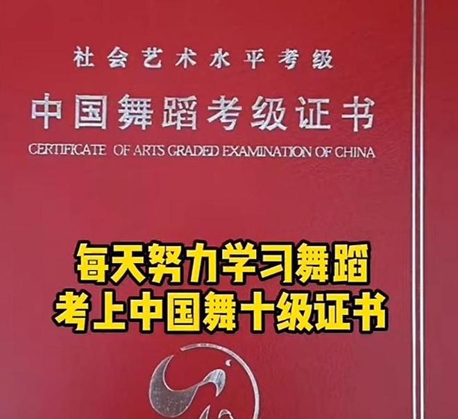 中国好声音明星客串__突然逝世的明星