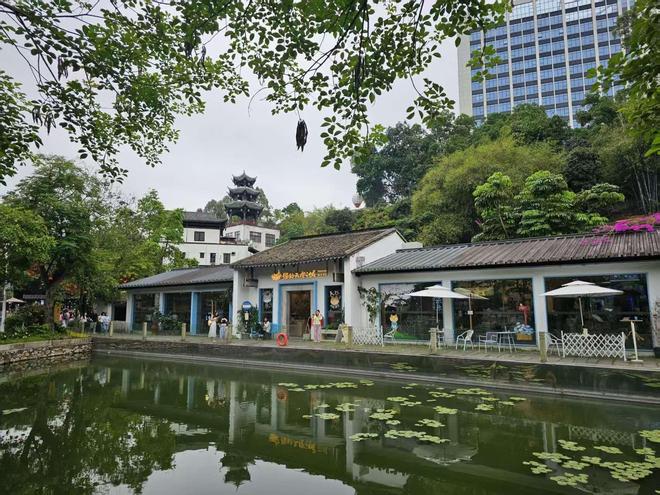 这条旅游专线直通龙岗多个景点，工作日专属，告别“人挤人”__这条旅游专线直通龙岗多个景点，工作日专属，告别“人挤人”